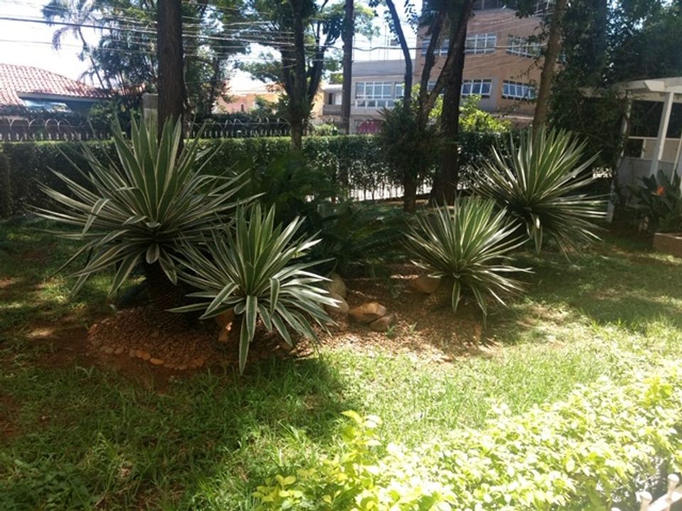 Captação de Apartamento a venda na Avenida Parada Pinto, Vila Nova Cachoeirinha, São Paulo, SP